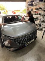 شیشه جلو فونیکس FX